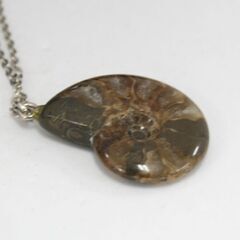 ネックレス アンモナイト 44cm 化石 天然石 ペンダント ケース付属 札幌市 清田区 平岡の画像