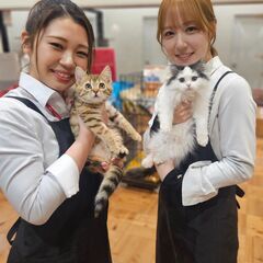 「ペットショップワンラブ」フレスポ御所野店 　接客販売スタッフ募集中の画像