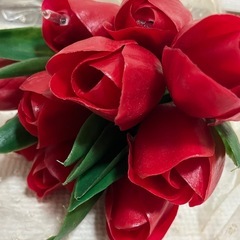 
チューリップ　照明の画像