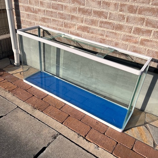 引き取り限定 1200水槽   1200×570×300