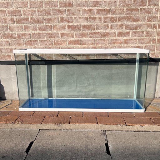 引き取り限定 1200水槽   1200×570×300