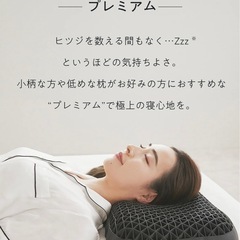 ヒツジのいらない枕プレミアム
の画像