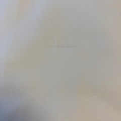 シーチング　３mの画像