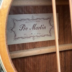 ハードケース付きギターの画像