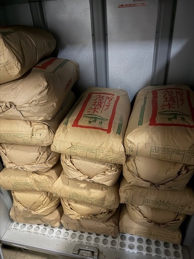 令和7年コシヒカリ　　農家販売