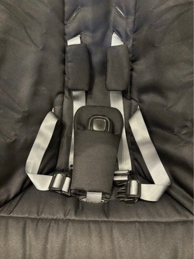 mamaroo5 電動バウンサー＋新生児用インサート（2月8日までお値下げ中）