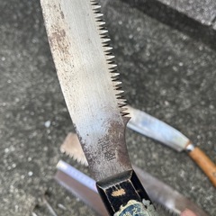 ノコギリ(バラ可能)の画像