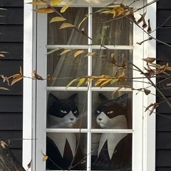 お友達募集してます