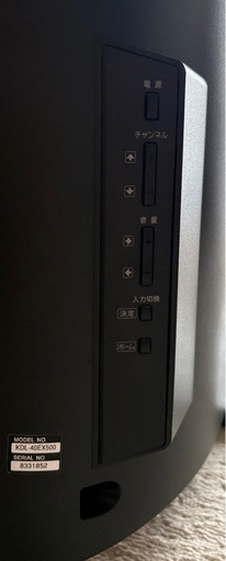SONY BRAVIA 2010年
