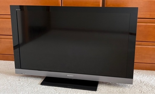 SONY BRAVIA 2010年