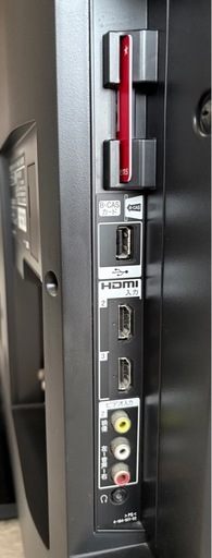 SONY BRAVIA 2010年