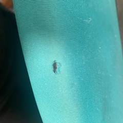 トランポリンの画像