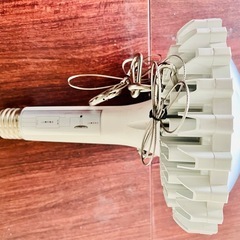 【未使用⭐︎一点限り】dendera LED水銀灯 滅多に出ないレア一品の画像