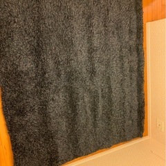 シャギーラグ／カーペット　220cm×200cmの画像