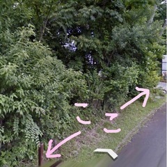 🏡【伊豆・伊東市宇佐美】山林165㎡／建築可／車進入可の画像