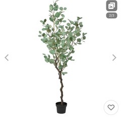 フェイクユーカリの画像