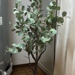 フェイクユーカリの画像