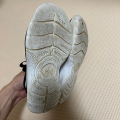 NIKE フレックスランナー  21cmの画像