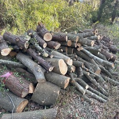 薪用の丸太の画像