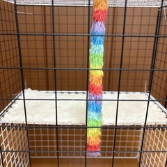 猫用ゲージの画像