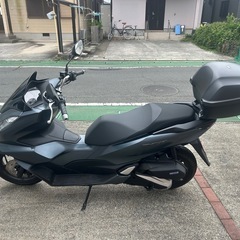 2024年式　PCX125 走行1800k の画像
