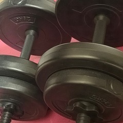 ダンベル　トレーニングベンチ　セット　筋トレ  の画像
