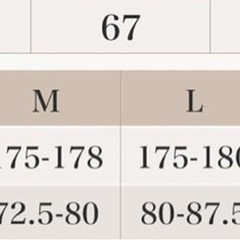 薄手の、ダウンジャケットの画像