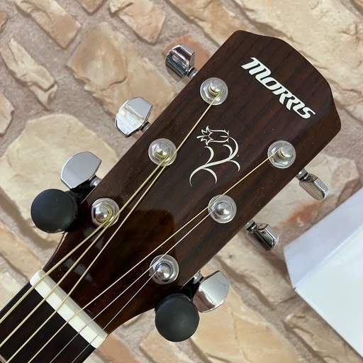 Morris M-01NAT 美品中古品！