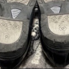 50.シューズ　ブラック就活向けの画像