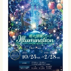 フルーツパーク時之栖イルミネーション　入場券割引券　２枚組の画像