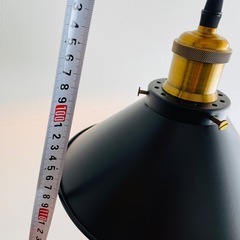 【美品】インダストリアル ペンダントライト 黒×真鍮調 直径22cmの画像