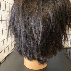 カットウィッグの画像