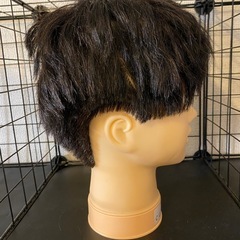 カットウィッグ　美容の画像