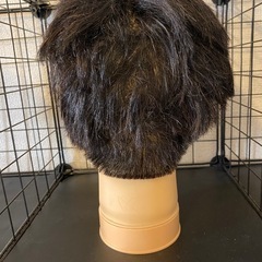 カットウィッグ　美容の画像