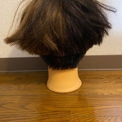 カットウィッグの画像