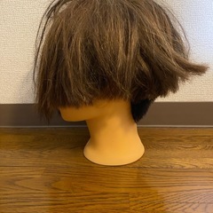 カットウィッグの画像