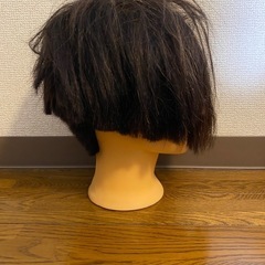 カットウィッグの画像