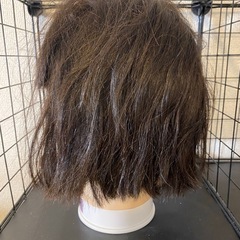 カットウィッグ MJ-39の画像