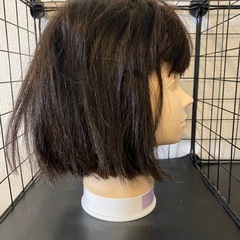 カットウィッグ MJ-39の画像