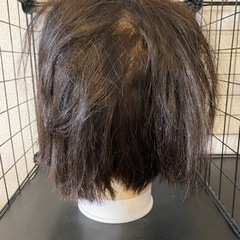 カットウィッグ MJ-39の画像