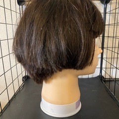 カットウィッグ　 MJ-39の画像