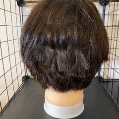 カットウィッグ　 MJ-39の画像