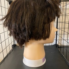 カットウィッグの画像