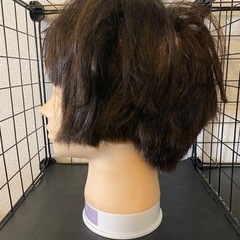 カットウィッグの画像
