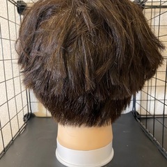 カットウィッグの画像