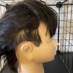 MJ-39 カットウィッグの画像