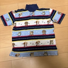 クニオポロシャツの画像