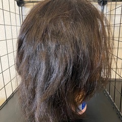 カットウィッグEX-7の画像