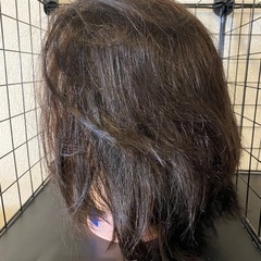 カットウィッグEX-7の画像