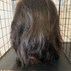 カットウィッグEX-7の画像